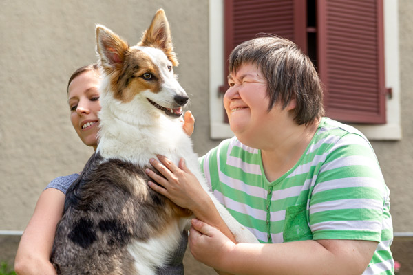 The Blue Ridge Independent Living Center (BRILC) an organization that was established to assist individuals with disabilities to live independently. 